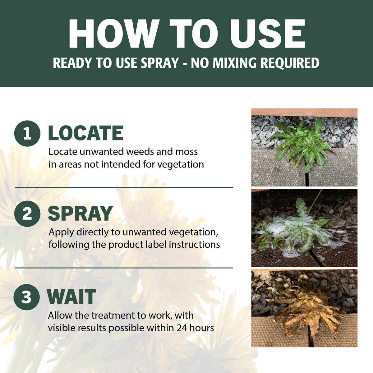Enviro Works Weed Gone - Weedkiller