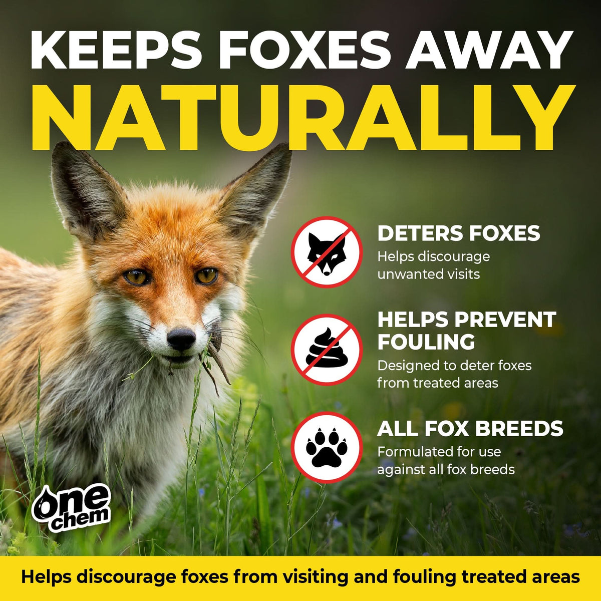 One Chem Fox Repellent – Ready to Use