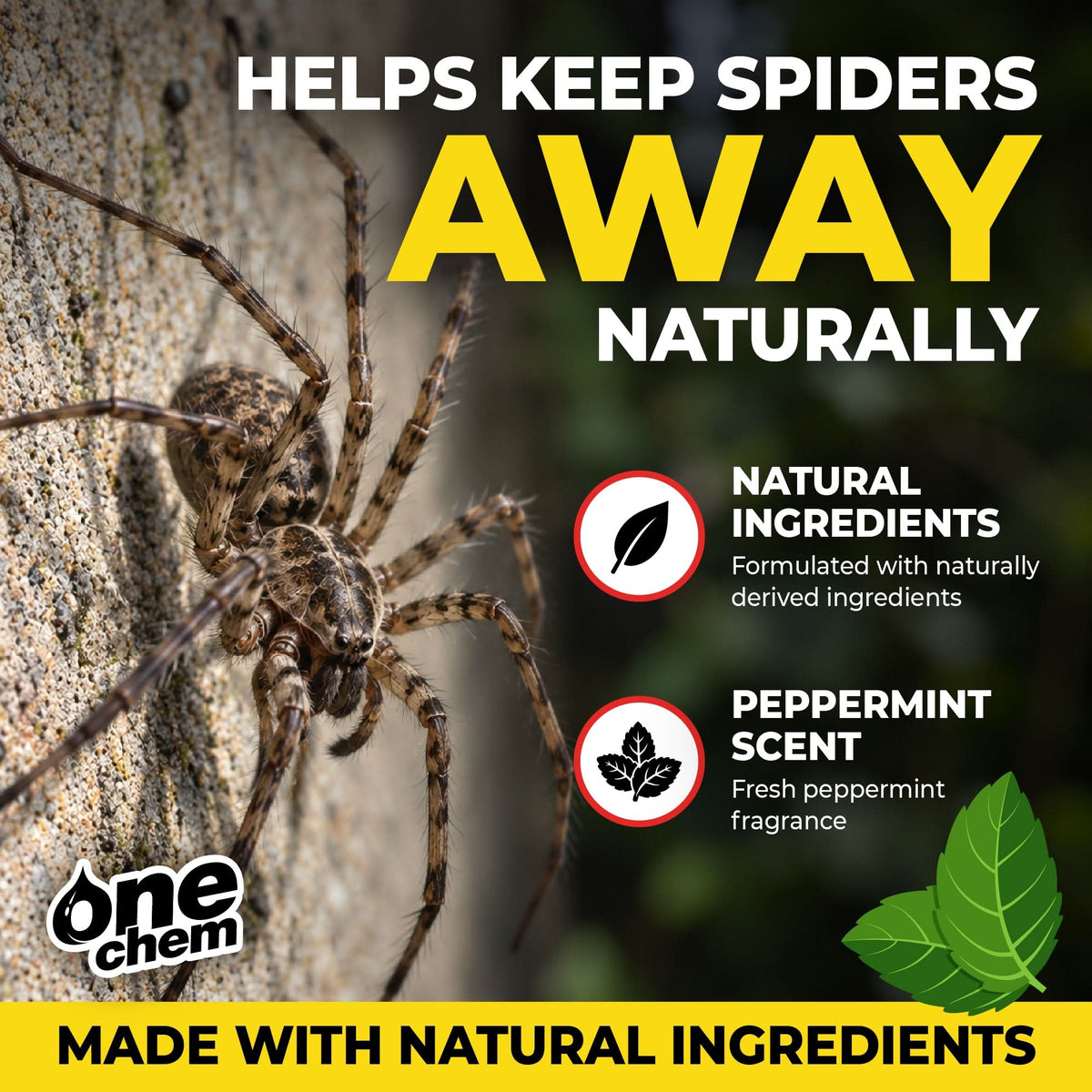 One Chem Spider Repellent Spray - Peppermint Scent
