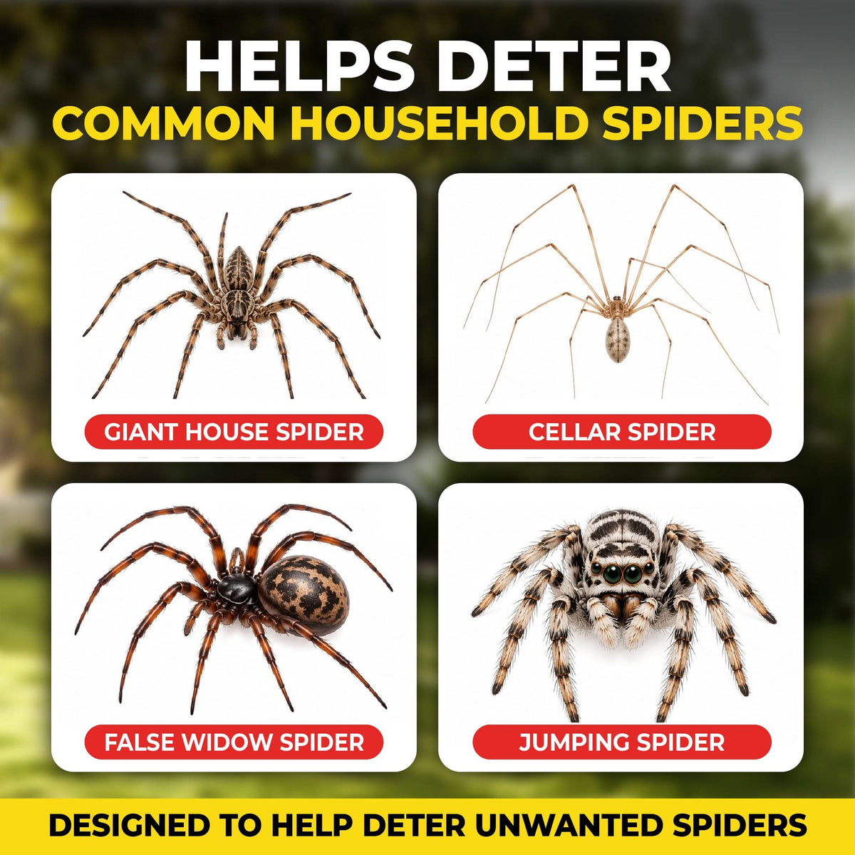 One Chem Spider Repellent Spray - Peppermint Scent