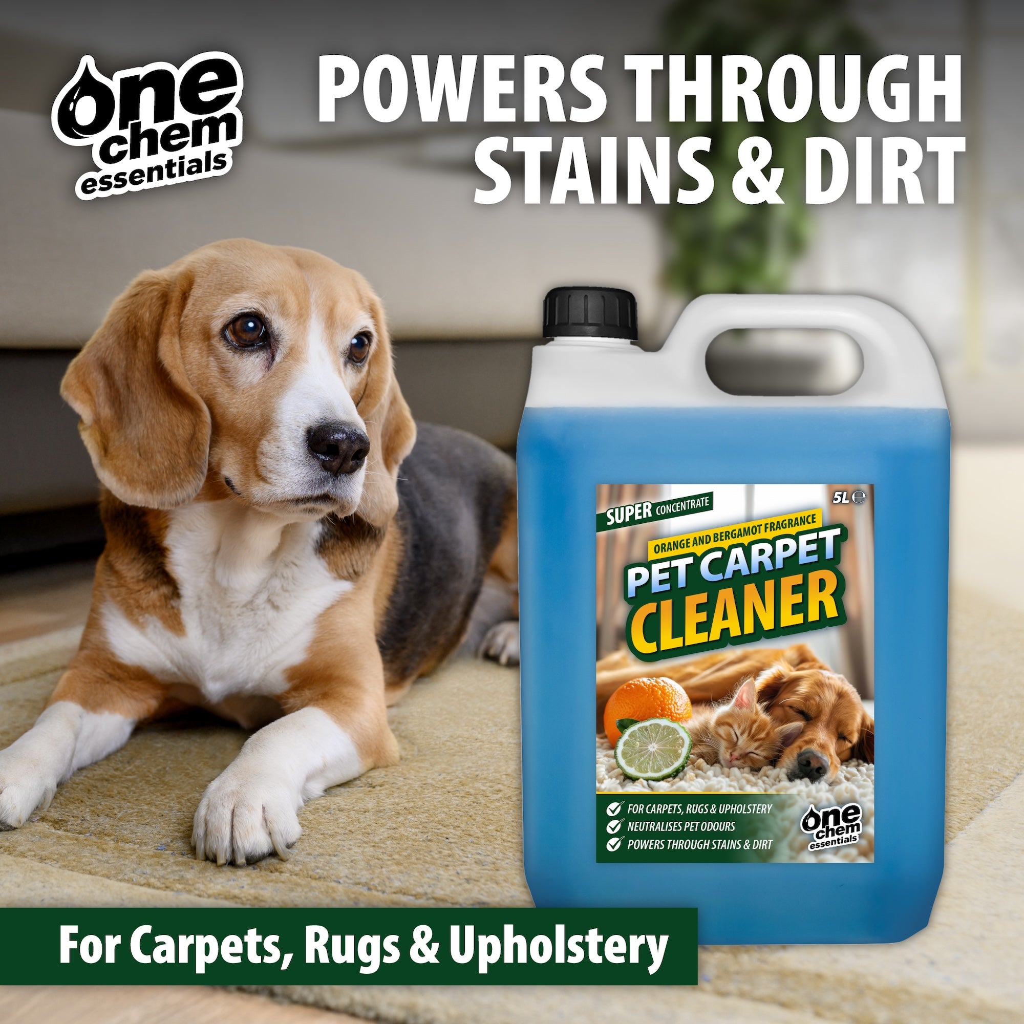 One Chem Essentials Pet Carpet Cleaner - Orange & Bergamot