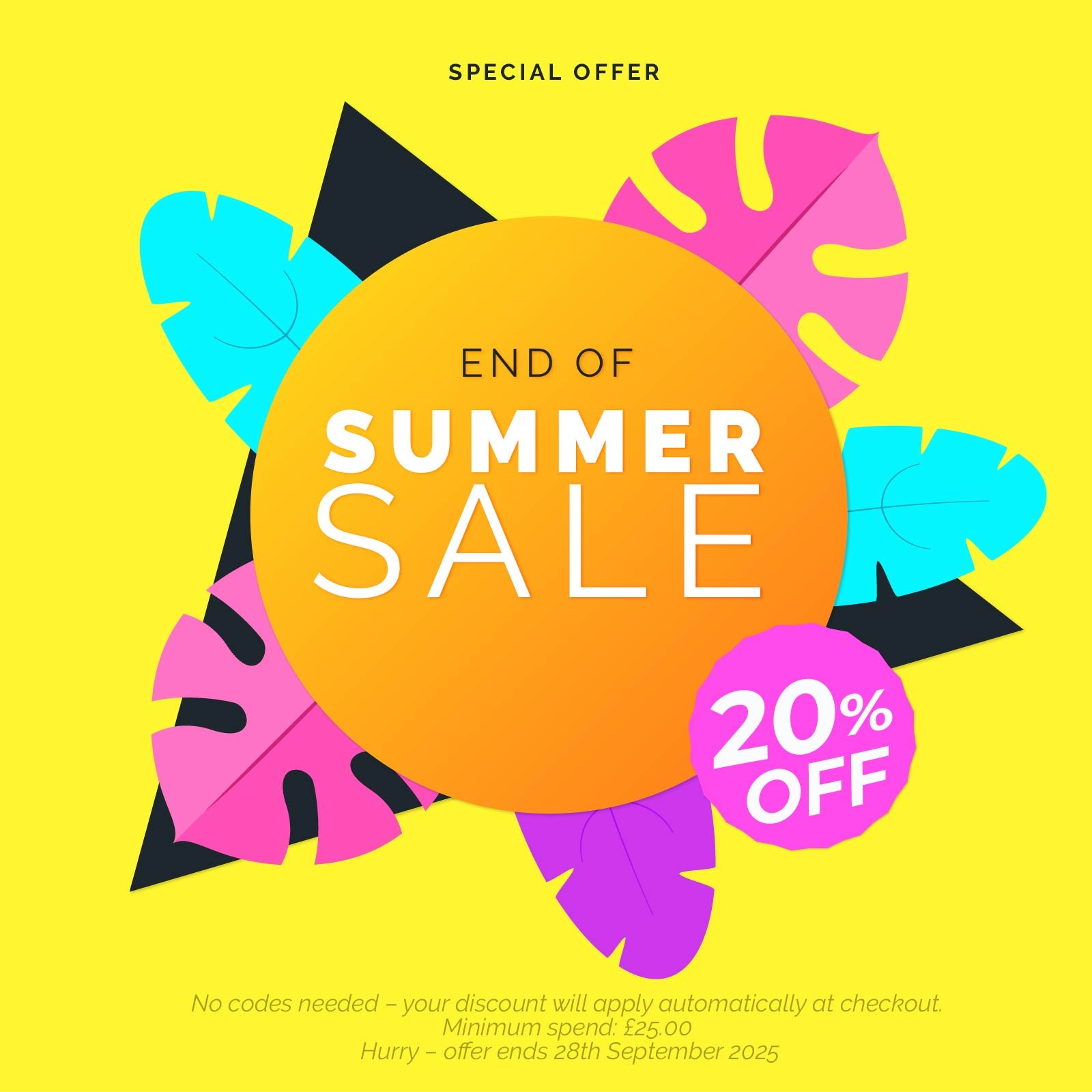 End of Summer Sale promo for household cleaning products