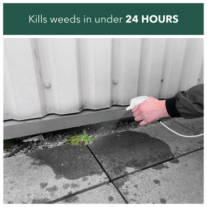 Kills weeds in under 24 hours