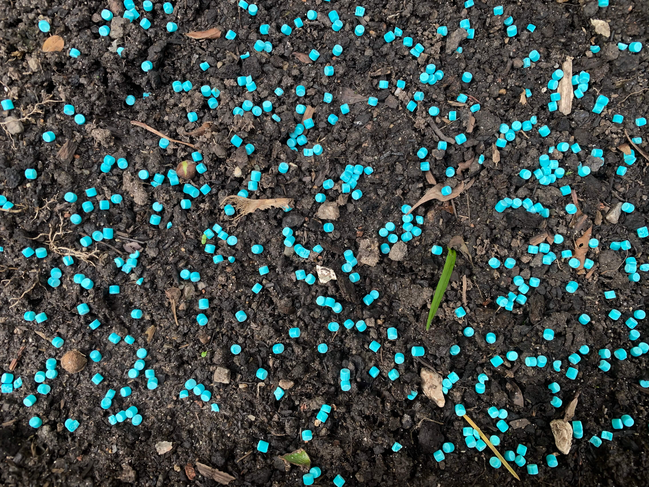 Ferrimax Slug Killer pellets sprinkled onto soil
