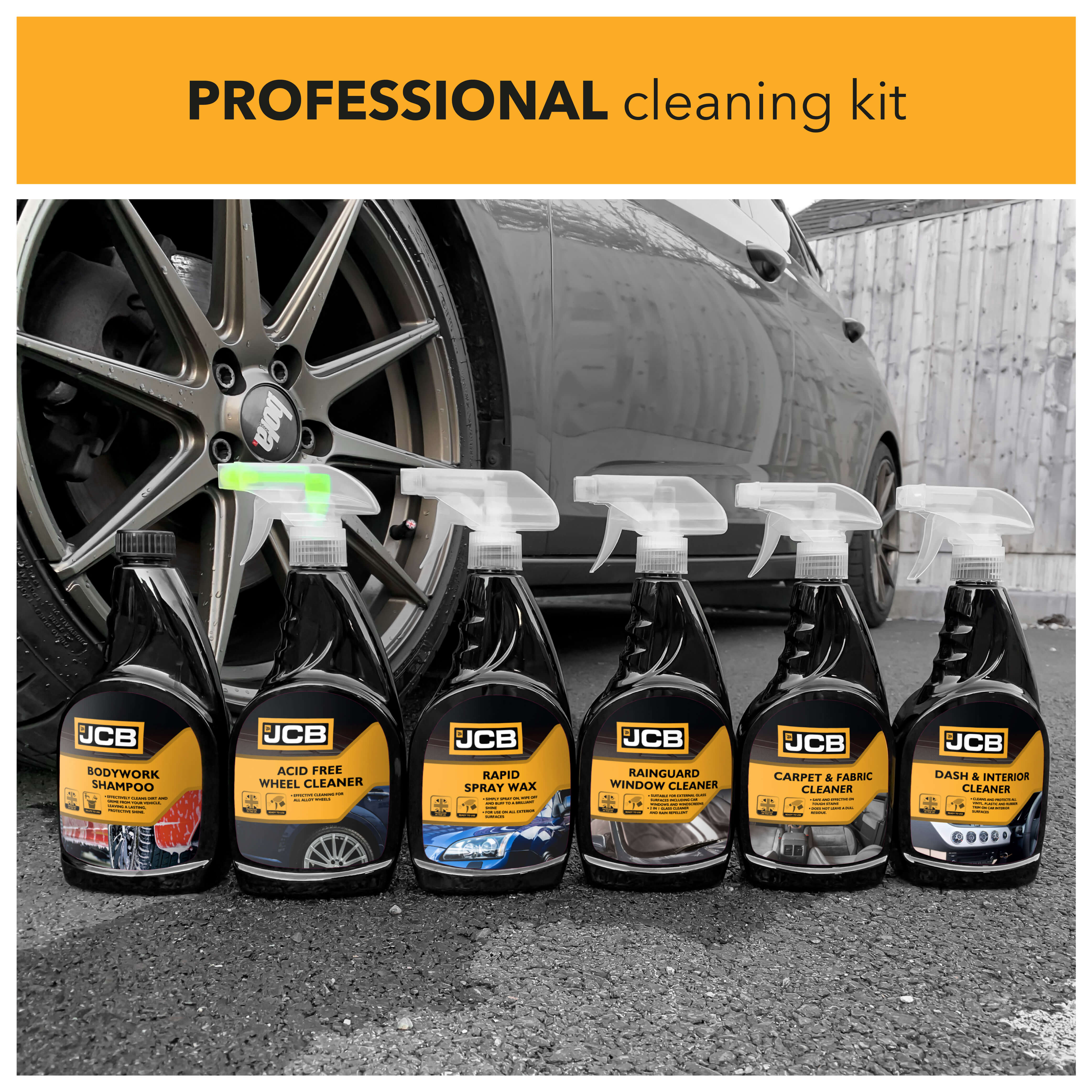 Professional cleaning kit