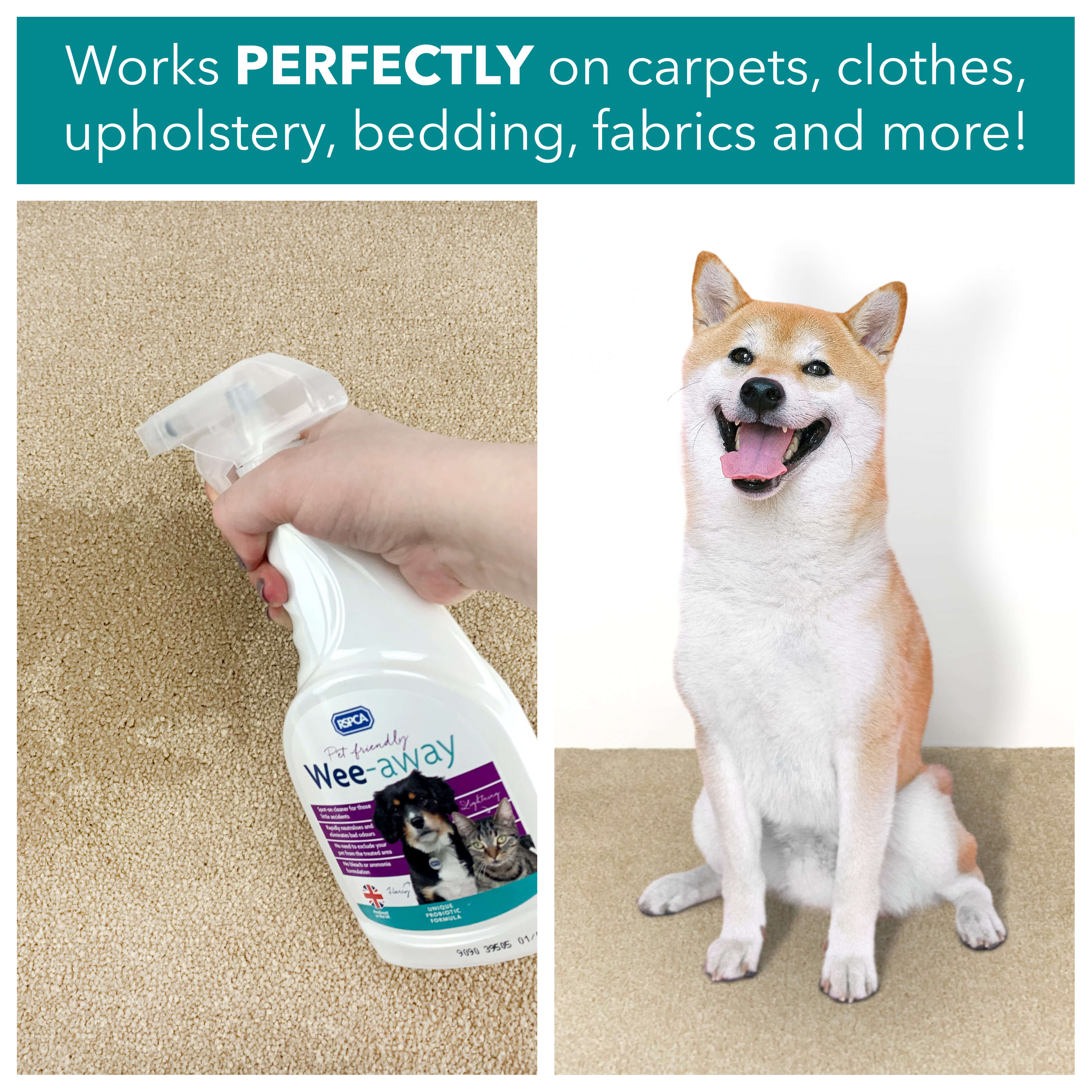 Works perfectly on carpets, clothes, upholstery, bedding, fabrics and more!