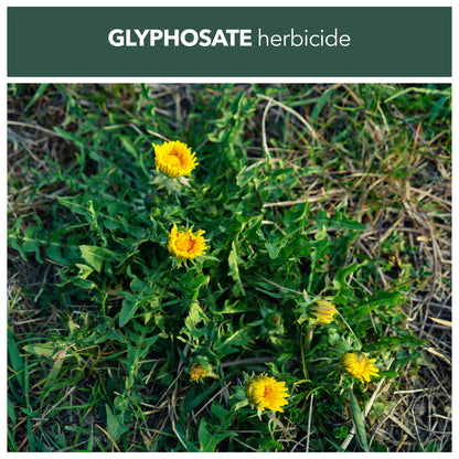 WeedBlast RootKill 2 x 2.5 Litre Ready to Use Glyphosate Weedkiller with Long Hose Trigger