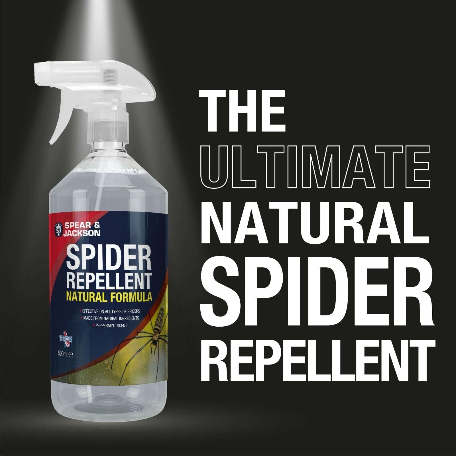 Peppermint spray for deals spiders